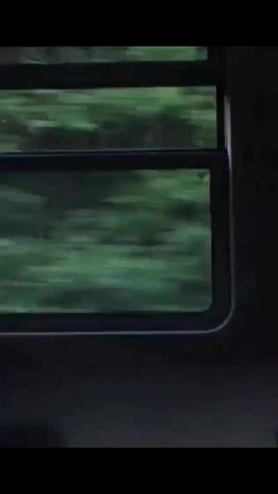 There's no meme today. 