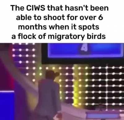 The bird destroyer 9000