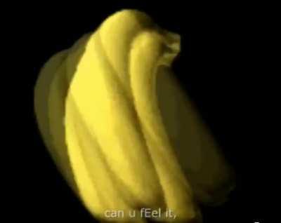 This is what Monkey farmer do when they are not working