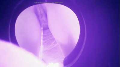 POV: You're a Porta Potty in a Park #2