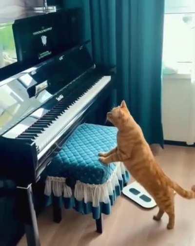 Sound-driver crashes cat.exe