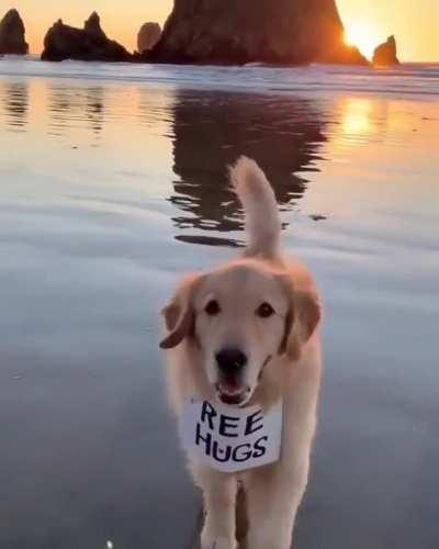 Free Hugs !