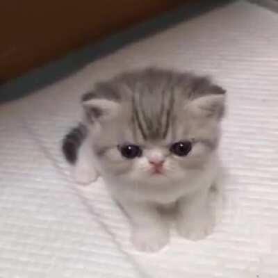 Vou apelar pra ganhar upvote