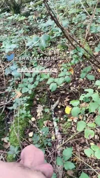 The list of shemales with 19+ cm cock length: