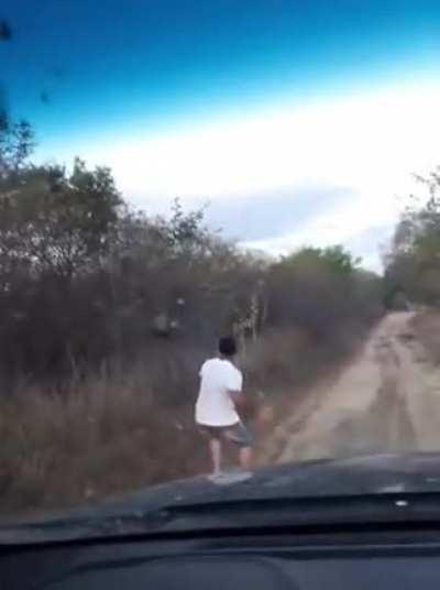 Some things you only do once in life Nr# 658 -Throwing rocks at a hornets nestð³ð¤£ ~S~