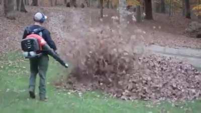 Once he finds out whats in the leaf pile . . .