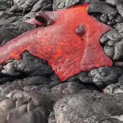 Forbidden Tomato Sauce
