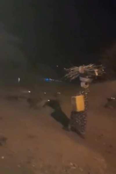 Fearless African women walks past Hyenas