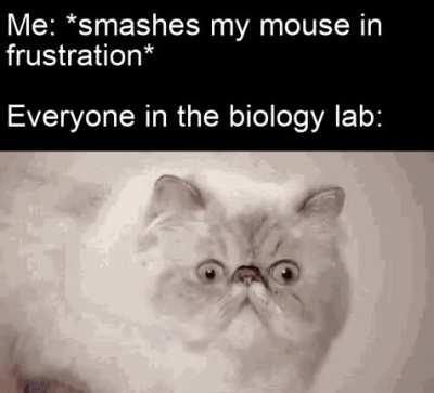 I couldn't fix it....yeah