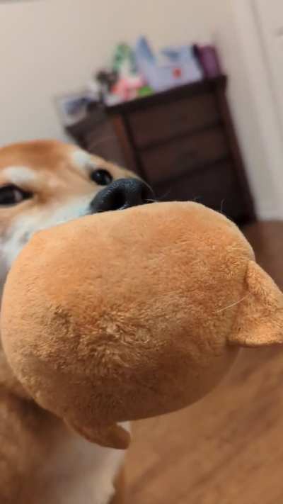 Yoshi turned 6 today!