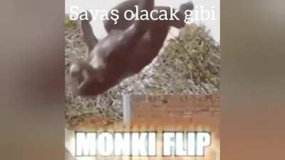 Gumandanım her zaman seninleyiz O1