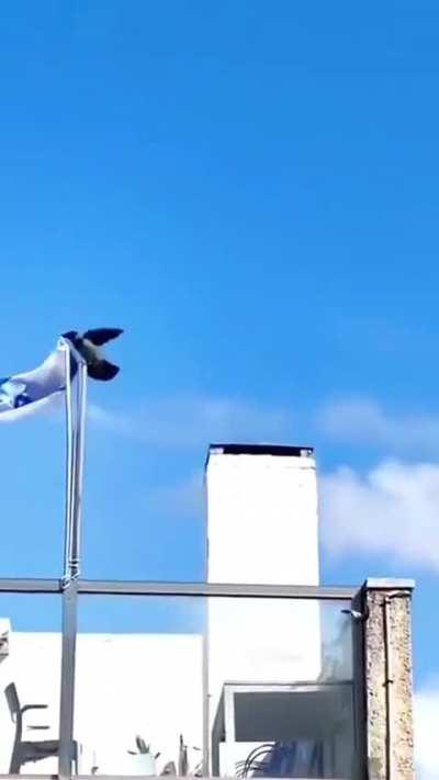 Deus, por favor, nos mande um sinal!!!! Deus: