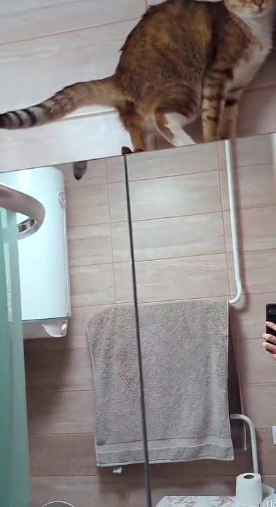 You can't get me here