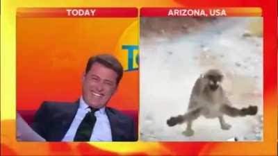 SquarePosting - Video #3255