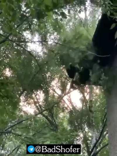 I'm not sure what was the goal here.