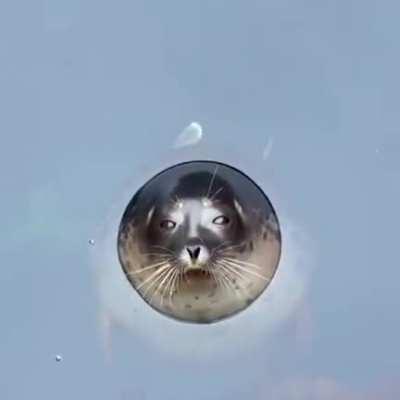 🔥 Perfect watertight seal