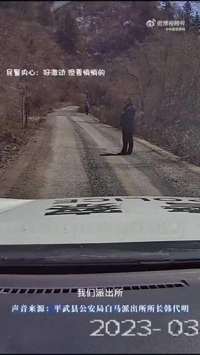 Pingwu County police car(assigned to baima police station) encounters giant panda while on patrol, March 25, 2023