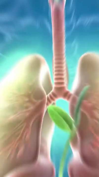 Senior Guidance Experts, I Need Your help