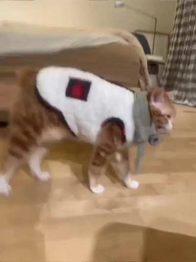 oye and daluan (her wife)