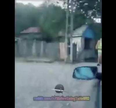 WAGTHROman invatand tineretul cum sa nu devina rrodditor