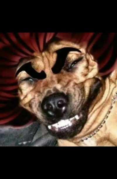 Baki with Gen Z memes sounds.