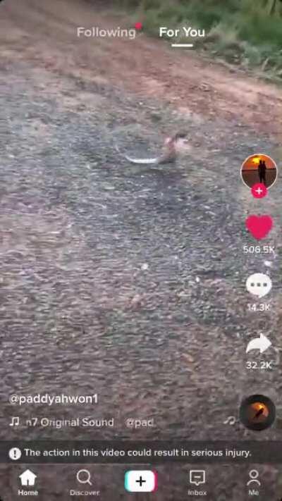 Idk if this is a repost but I keep forgetting to post this and I think it’s hilarious