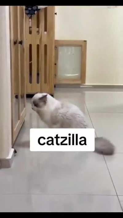 Catzilla