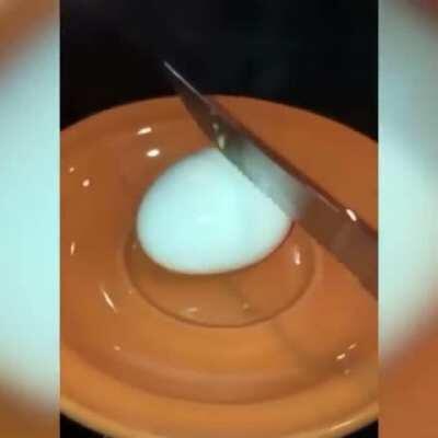 egg