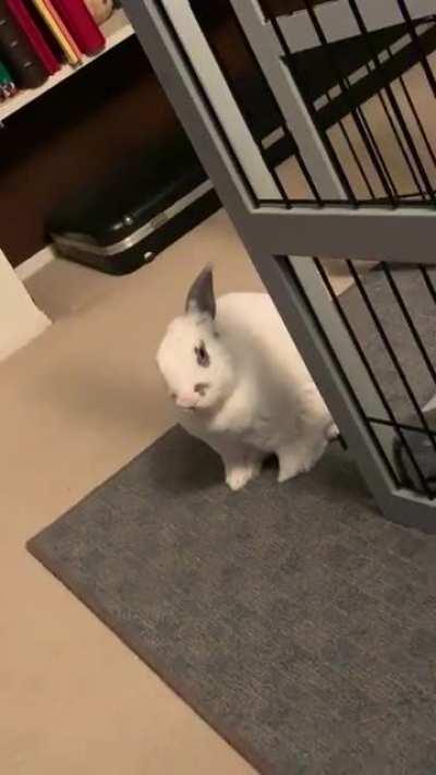 Just me .... or should I create a will? (all to him of course).