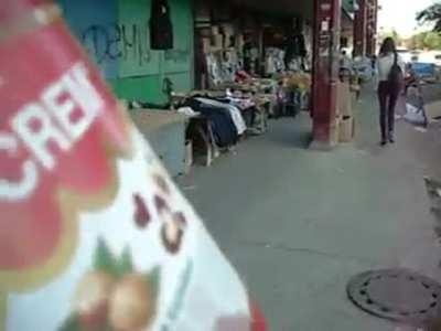 Normal day in monkeydonia