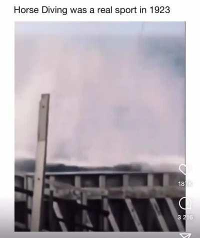 Horse diving, anyone?