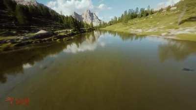 Risking it all for that one perfect shot