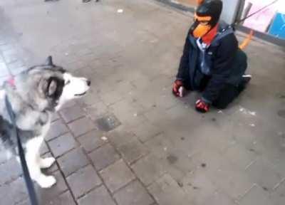 I have no words to describing this