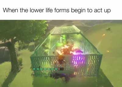 Guys what song is this