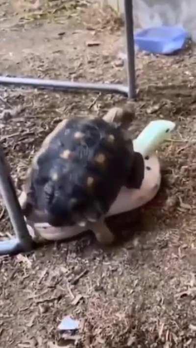 Here you go, have a peaceful Video