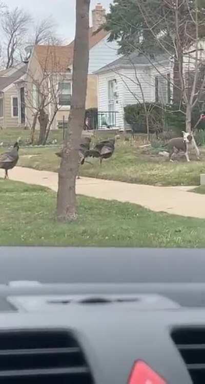 (OC) The wrong side of Turkey Town