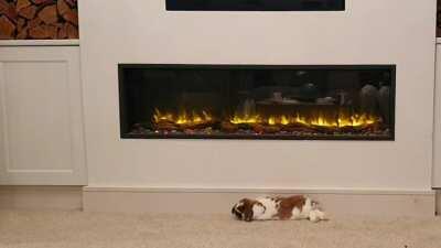 Flopping by the fire 🔥