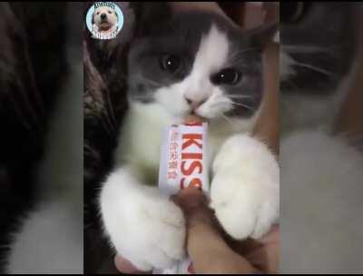 HOLlywOOD cRuELtY. AnOTher YoUnG ActoR DeStrOyEd bY drUg aDDiCtIOn