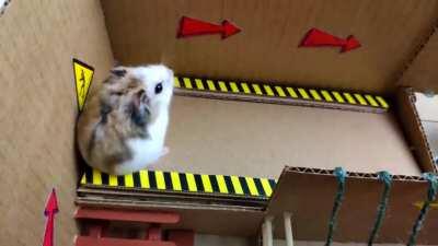 Hamster Hazardous Course (Half-Life SFX)