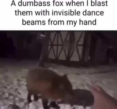 now try it on a human