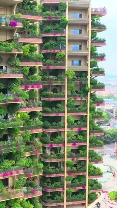 Every household has a garden