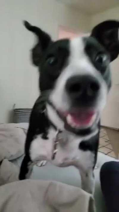 Was that a bag of snacks i heard open?