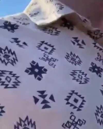 Kevin has a problem with people protesting in his neighborhood