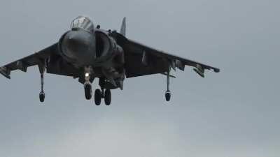 Any Love for the Harrier?