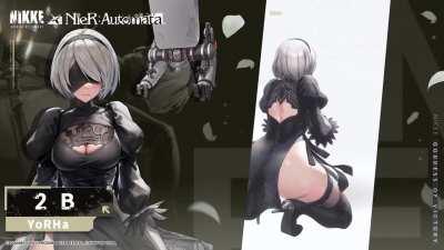 2B motion demonstration