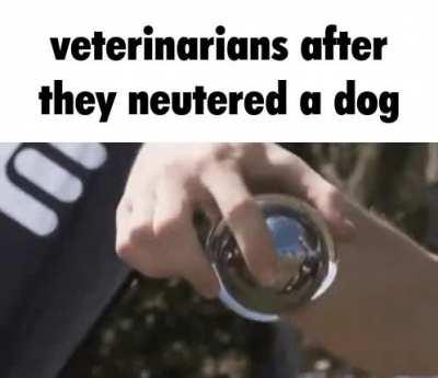 Look at this cool trick