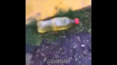 Robado de no me acuerdo donde