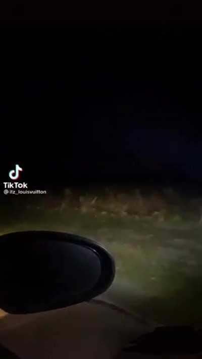 Looks like a crawler, moves weird, i think fake, but cool.