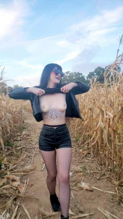 flashing in the corn maze