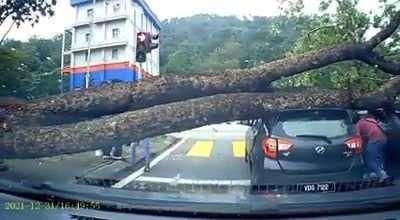 Green light means Go!